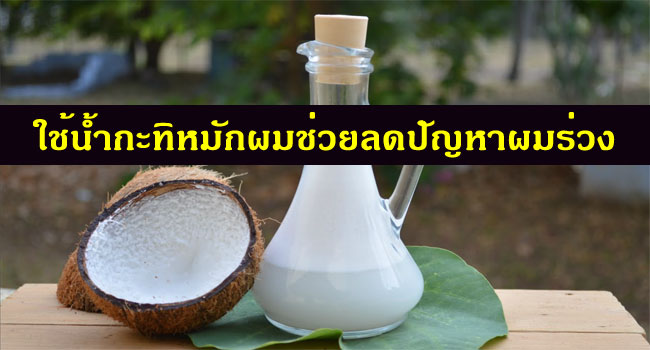 น้ำกะทิ น้ำมันมะพร้าว เอามาใช้ในการรักษาผมร่วง รักษาคนหัวล้านได้จริงหรือ