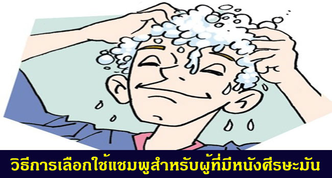 เลือกใช้แชมพูสำหรับผมมันได้อย่างไร ป้องกันผมมันได้ไหม